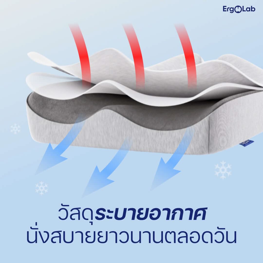 เบาะรองนั่ง MAX - Image 6