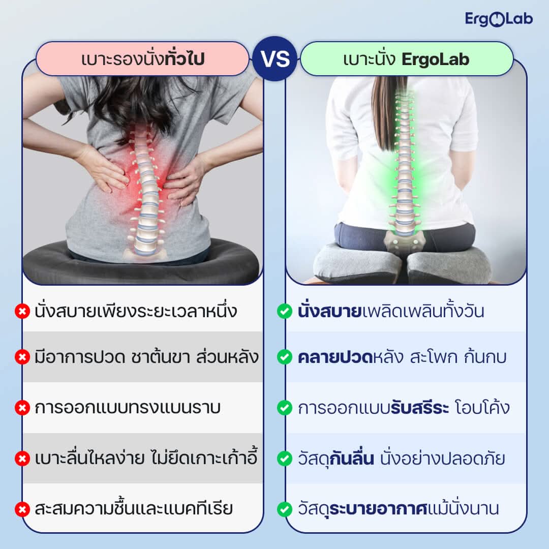 เบาะรองนั่ง MAX - Image 9